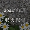収支と金融資産（24年11月）