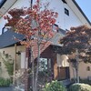 山形市「蕎麦処かねひろ」さんのもりそばと、なめこおろしそば。