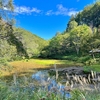 樺池（長野県松本）