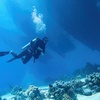 人が潜れる限界　いったい水深何メートルまで、いけるの？