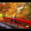 紅葉の河鹿橋