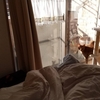 母の部屋にキャットタワー