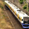 特急新宿さざなみ1号(255系)、京成電鉄レール運搬車、京成電鉄3600形リバイバルカラー車、他。