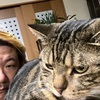 ルイちゃん🐈餃子🥟相場表📝