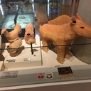 初心者データサイエンティスト