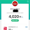 PayPayデビュー