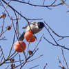 久しぶり？にいつもの公園へ
