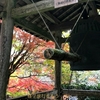 寂光院