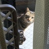 2023年1月28日🐾 今日のマヤ暦