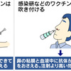 鼻に噴射するタイプのインフルエンザワクチン