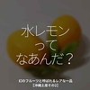 1536食目「水レモンってなあんだ？」幻のフルーツと呼ばれるレアな一品【沖縄土産その2】