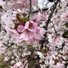 2025年4月の振り返り