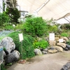 富山県中央植物園を巡る ④（富山県富山市）
