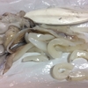釣りバカ息子
