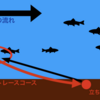 河川でのナイトチニングのやり方