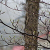 雨の１日。