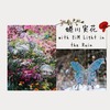 【蜷川実花 with EiM Light in the Ruin】展を見に飛騨古川へ
