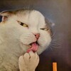 実は中学生に独居老人の生存確認させてるだろ？