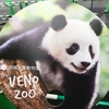 「夏の夜の上野動物園」で、初めてのシャンシャン