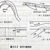 沖積河川の砂州について整理してみる