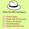 Black Hat Search Engine Optimization Techniques