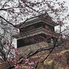 上田城跡：桜と歴史が織りなす美しい庭園（長野県）