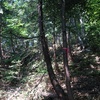 花房山～高地谷直降