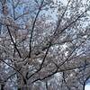 福岡県 直方市 のおがた夏まつり花火大会２０２２年 日程 花火打ち上げ時間は？