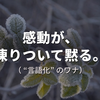 「言語化」が嫌い。……どうしてなのか、やっとわかった。