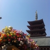 浅草寺・花まつり（東京）