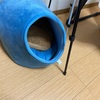 猫のお友達を作ってあげたいので、保護猫2匹目の検討