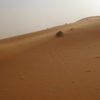 【モロッコ】ラクダがまさかのアクシデントで砂漠を歩いて帰ったお話