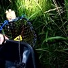 テナガエビ掬いへ♪