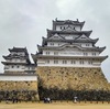 神戸旅行3日目〜姫路城、生田神社、神戸ステーキ〜