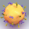 【nature】B-cellが免疫チェックポイント阻害薬の効果発現に重要な可能性を示唆