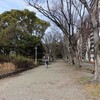 「集団撮影行動とは何か──全日本学生写真運動資料解題」at 名古屋市美術館