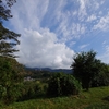 秦野　転　天気　　　　　　最高気温２０度　☁曇り