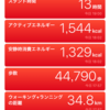 joyaシューズ再修理後第1回使用後の記録