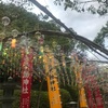 宮地嶽神社の風鈴祭りで心を癒す方法！ライトアップが作り出す幻想的な夜