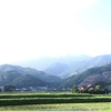 梅雨の晴れ間に、神の泡