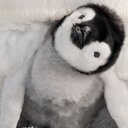 ゆるふわ〜は続かない！