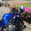 ZZR400/久しぶりの一人旅