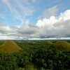 ボホール島で闘鶏を見るの巻。