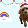 （無料型紙有り）犬猫用クリスマス サンタクロースのコスプレ帽子 作り方 