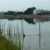 筏川寄せ場（愛知県弥富）