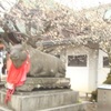 北野神社から四条河原町、