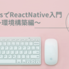 初心者向け！WindowsでReactNative入門～環境構築編～ ③Expoのインストール