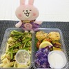 セブのデリバリーのダイエット弁当DIET IN A BOX～９月２７日のお弁当～今週はヴィーガン