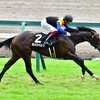 指名馬情報:牡馬第5位