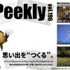 LLPeekly Vol.196 (Free Company Weekly Report)